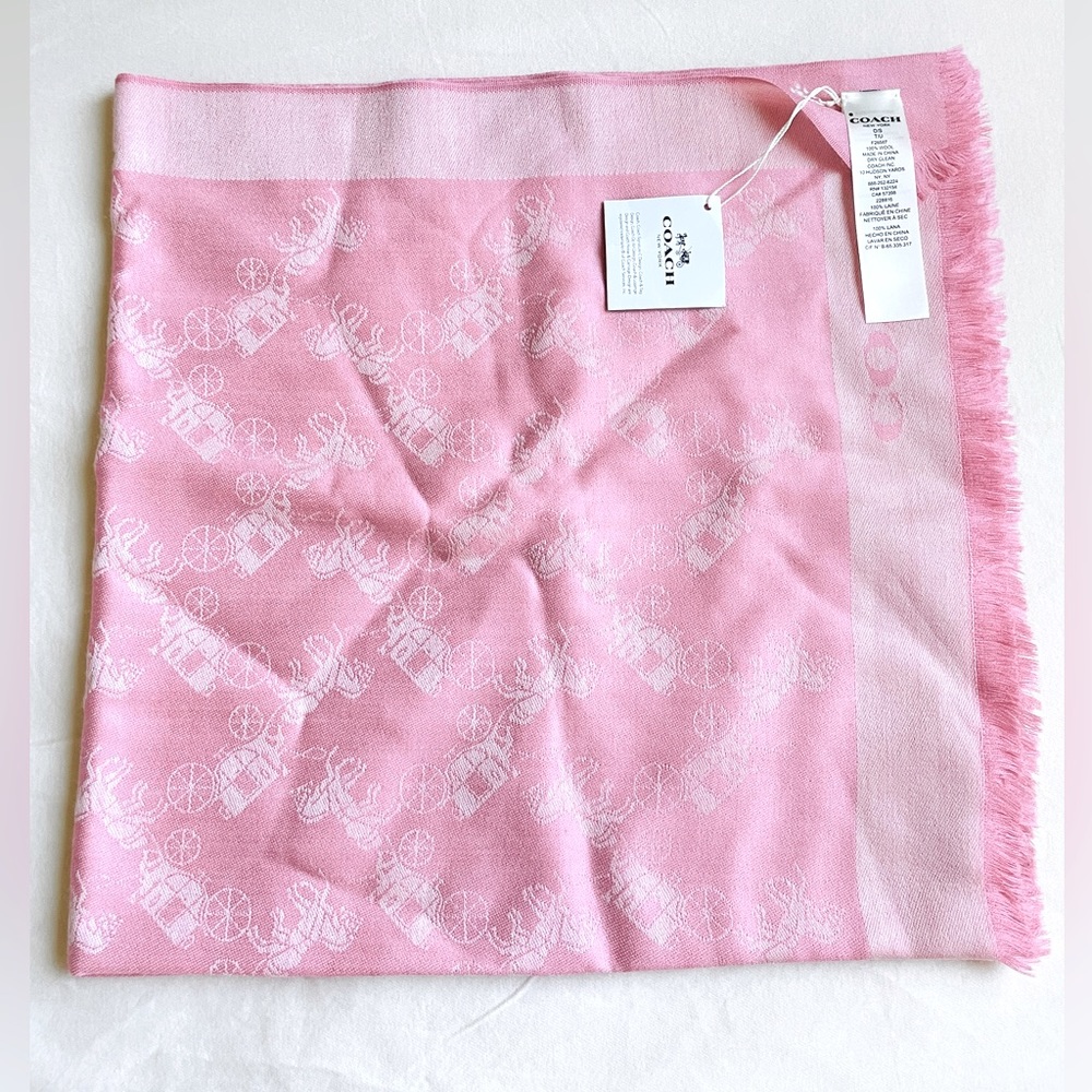 Coach woolen scarves (Original price $175)